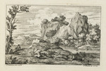 Flusslandschaft mit Felsen im Hintergrund