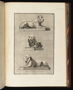 Verschiedene Ansichten drei marmorner Löwen