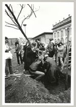 Pflanzung des ersten Baumes vor dem Fridericianum auf dem Friedrichsplatz, Joseph Beuys, Fotodokumentation "7000 Eichen", documenta 7