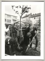 Joseph Beuys, Pflanzung am Pferdemarkt, Fotodokumentation "7000 Eichen", documenta 7