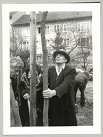 Joseph Beuys, Pflanzung am Pferdemarkt, Fotodokumentation "7000 Eichen", documenta 7