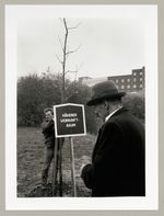 Der Höhere Vernunftsbaum, Siggi Sander, Joseph Beuys, Im "Goldenen Loch", Fotodokumentation "7000 Eichen", documenta 7