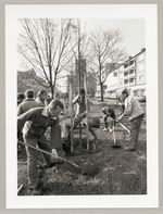 Pflanzung Bebelplatz, Einsetzen der Bäume, Beteiligung von Strafgefangenen der JVA Wehlheiden, Fotodokumentation "7000 Eichen", documenta 7