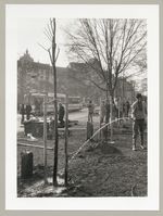 Pflanzung Bebelplatz, Wässern der gepflanzten Bäume, Fotodokumentation "7000 Eichen", documenta 7