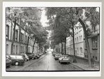 Pflanzung Bodelschwinghstraße, Fertige Pflanzung, Fotodokumentation "7000 Eichen", documenta 7