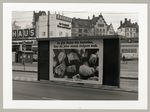 Plakatwandwerbung in der Stadt, Fotodokumentation "7000 Eichen", documenta 7