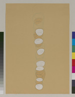 Ohne Titel, Studie zu einer Spirale im Raum