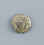 Münze aus Kupfer