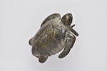 Römische Schildkrötenfibel