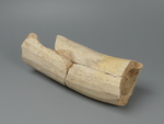 Fragment eines Tonhornes (Pilgerhorn)