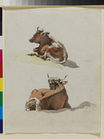 Tierstudie eines Rindes und zwei Ansichten; verso: drei Studien von Rindern