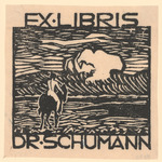 Exlibris Dr. Schumann