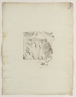 Studie eines antiken Fragments mit Akanthusblatt, Aufriß