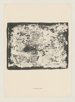 Mousses, lichens, Blatt 11 der Mappe "L
