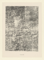 Texte écaillé, Blatt 1 der Mappe "Textures"