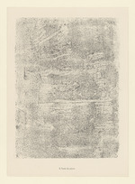 Texte de pierre, Blatt 8 der Mappe "Textures"