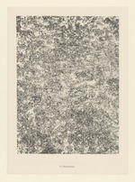 Géophysique, Blatt 15 der Mappe "Textures"