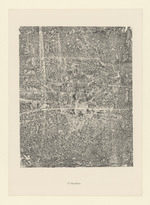 Mycélium, Blatt 17 der Mappe "Textures"