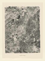 Flétrissure allègre, Blatt 8 der Mappe "Sites et Chaussées"