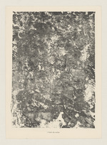Festin de rocher, Blatt 1 der Mappe "Étendues, Parois"